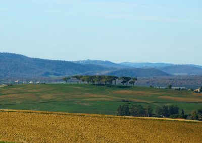 maremma-laziale-san-giuliano-12