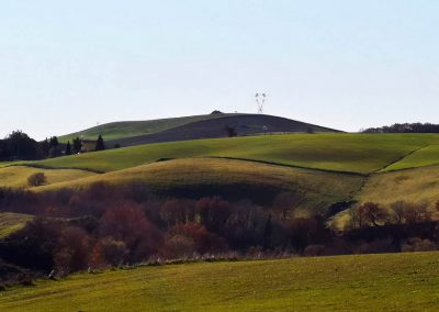 formicone-pian-di-vico-poggio-martino