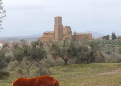 San Pietro - simbolo di Tuscania