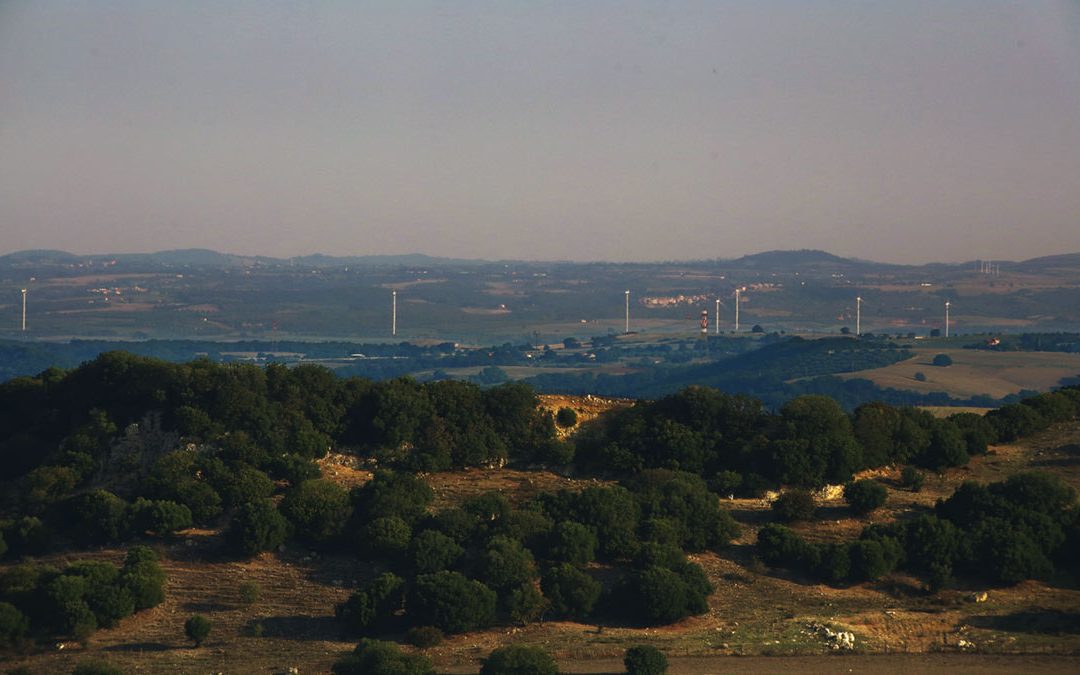 Cerveteri & Tarquinia Necropolises and Turbines