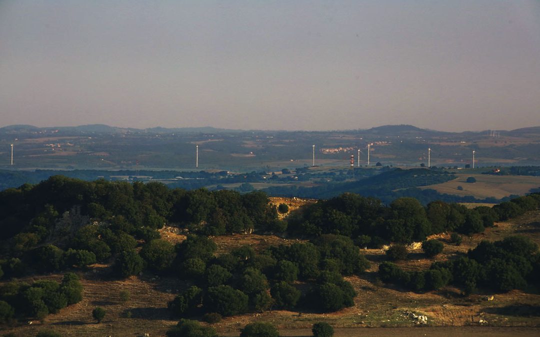 Cerveteri & Tarquinia Necropolises and Turbines