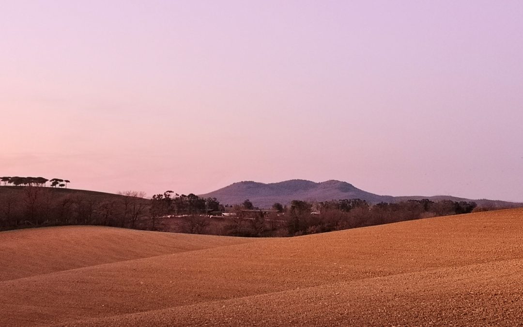 Renewables, Policy and Land Use