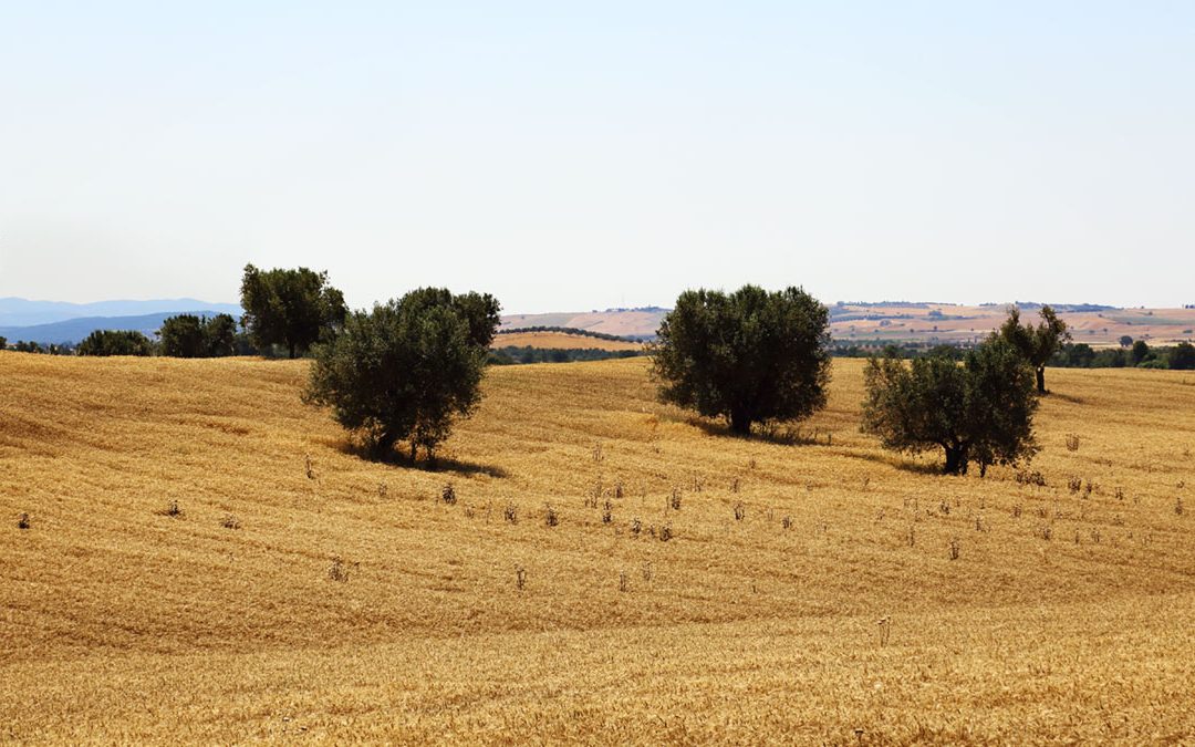 Non si Patteggia sul Paesaggio Storico di alto Valore