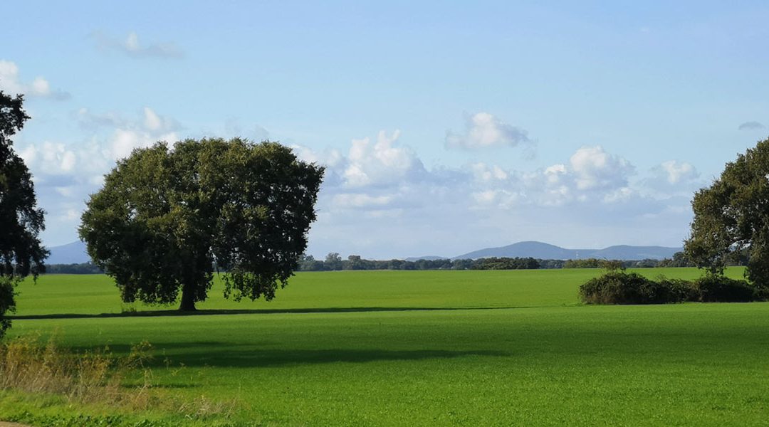 Paesaggio e Salute