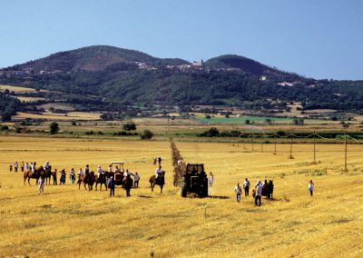 Latera-Valentano-1-tiratura-solco-dritto-gmaps