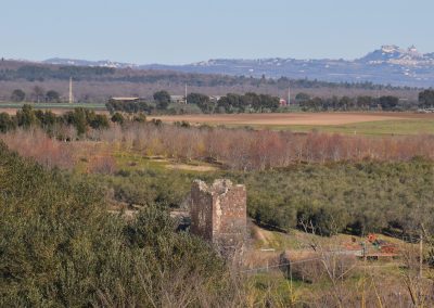 Tuscania-Torre di Arunte-fronte all'impianto di Pian di Vico 2 rid - Copia