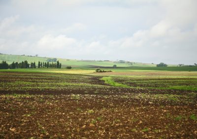 Tuscania-casalone-1060