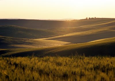 Tuscania-casalone