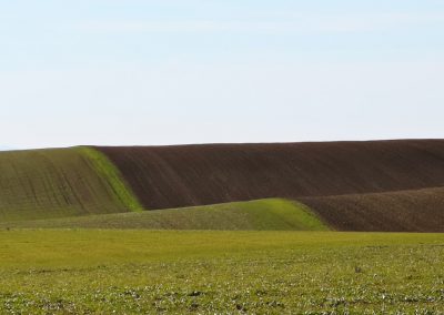 Tuscania-Formicone