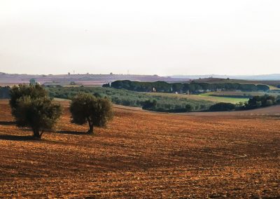 Tuscania-pian-di-vico-da-v-clodia-122